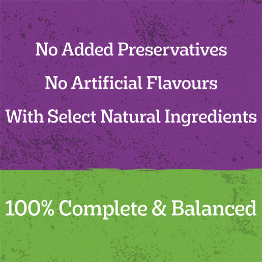 Adult Wet Dog Food Chicken Rice Vegies Homestyle