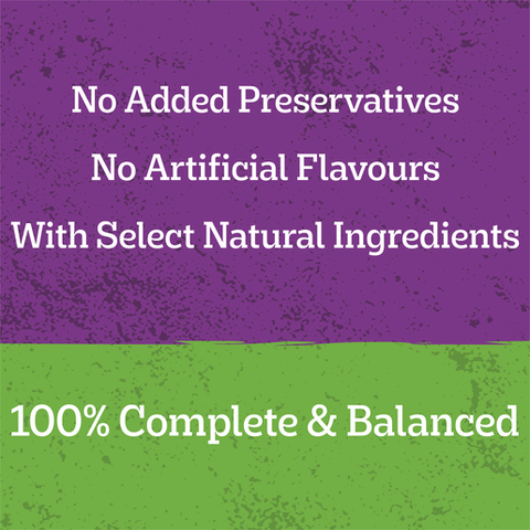 Adult Wet Dog Food Chicken Rice Vegies Homestyle