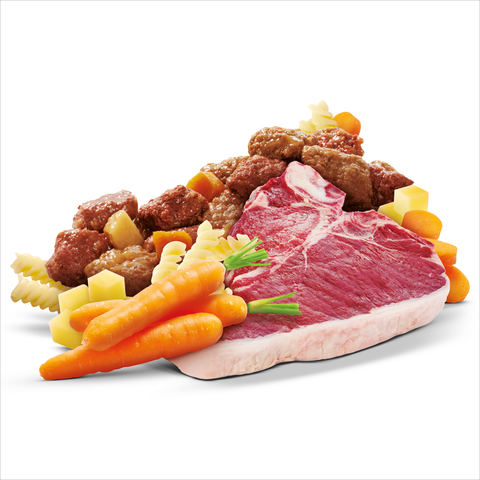 Adult Wet Dog Food Beef Pasta Vegies Homestyle