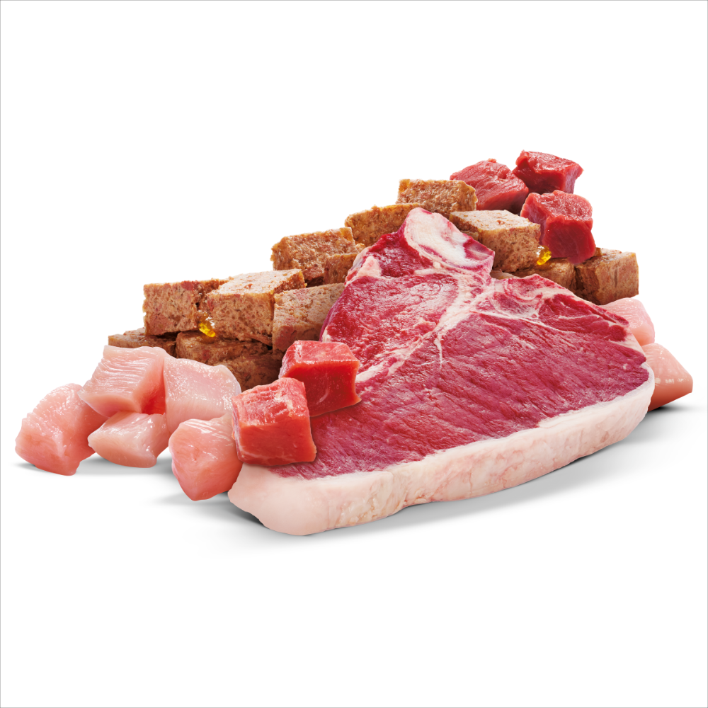 5 Meats Loaf Cans Wet Dog Food