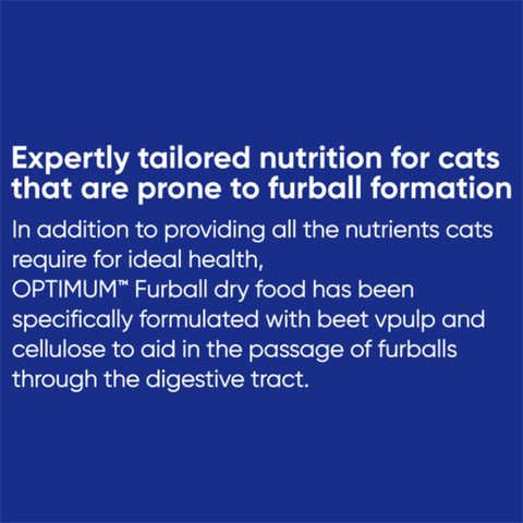 Furball Dry Cat Food Chicken