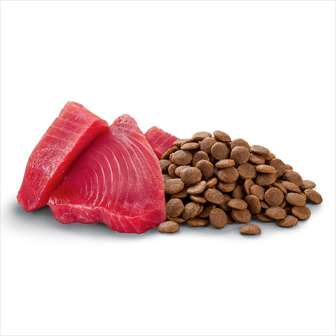 Dry Cat Food Ocean Fish