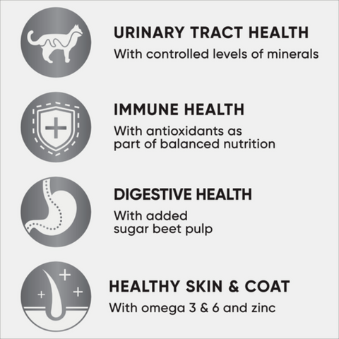 Dry Cat Food Ocean Fish