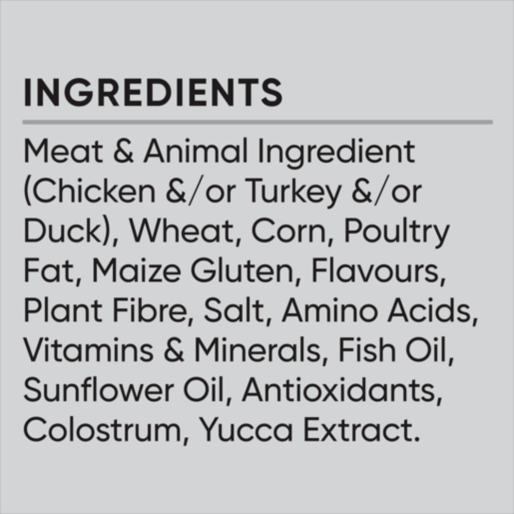 Dry Cat Food Multi Cat Chicken