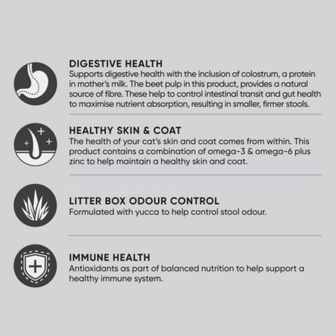 Dry Cat Food Multi Cat Chicken