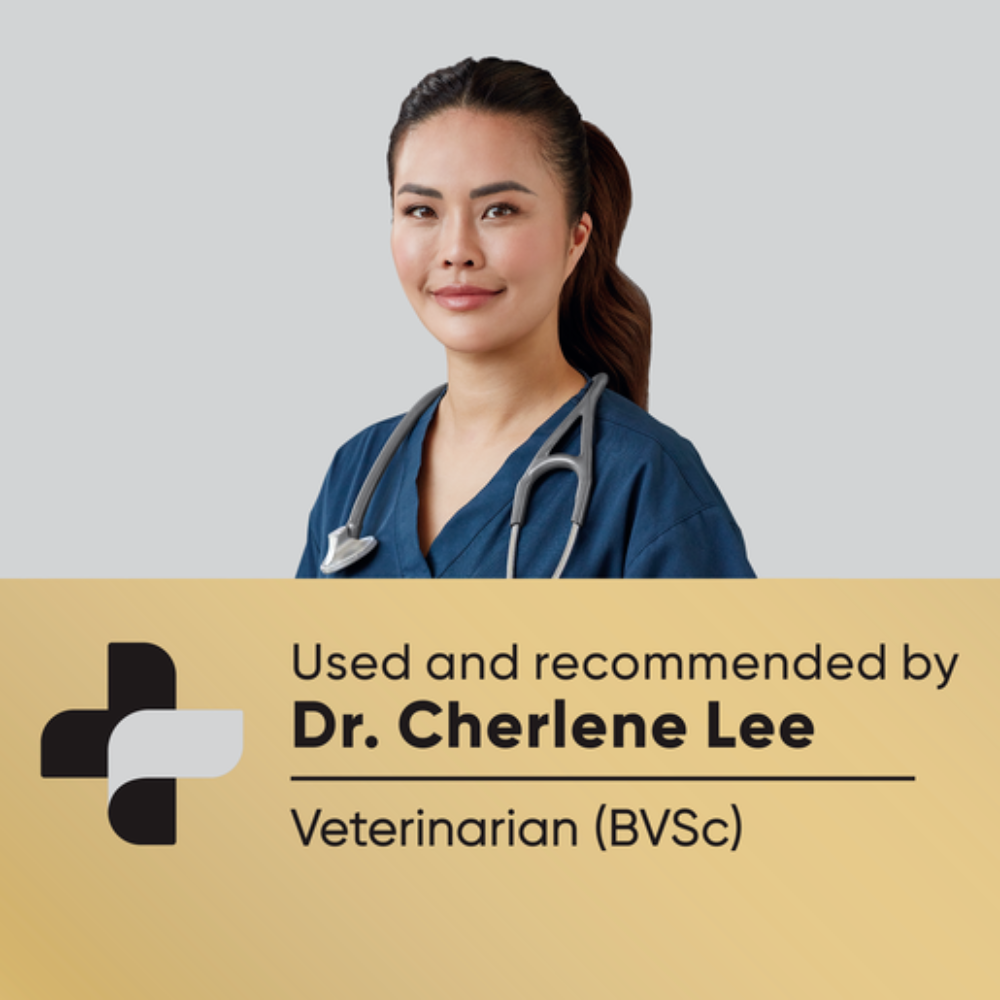 Dry Cat Food Healthy Weight Chicken