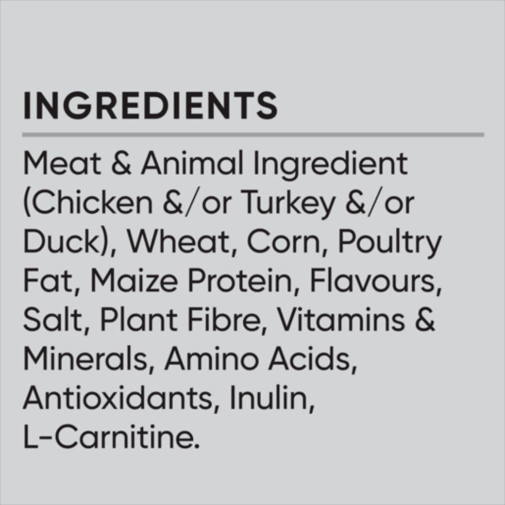 Dry Cat Food Healthy Weight Chicken