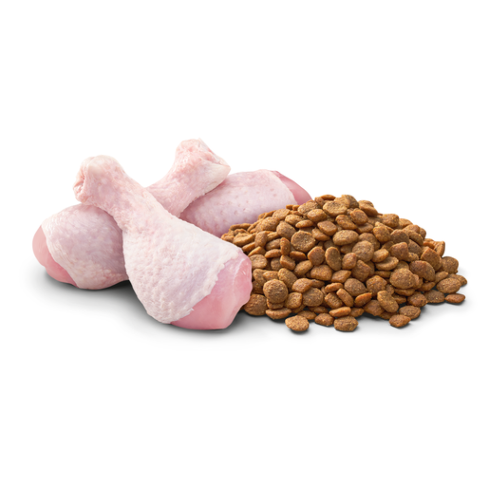 Dry Cat Food Multi Cat Chicken
