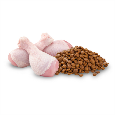 Dry Cat Food Healthy Weight Chicken