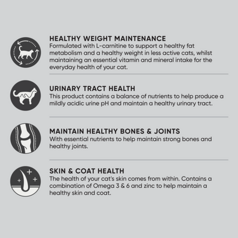 Dry Cat Food Healthy Weight Chicken