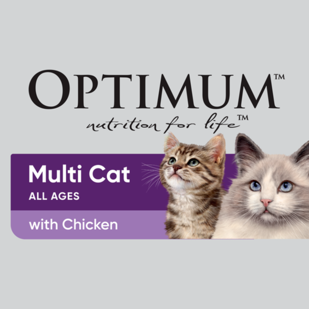Dry Cat Food Multi Cat Chicken