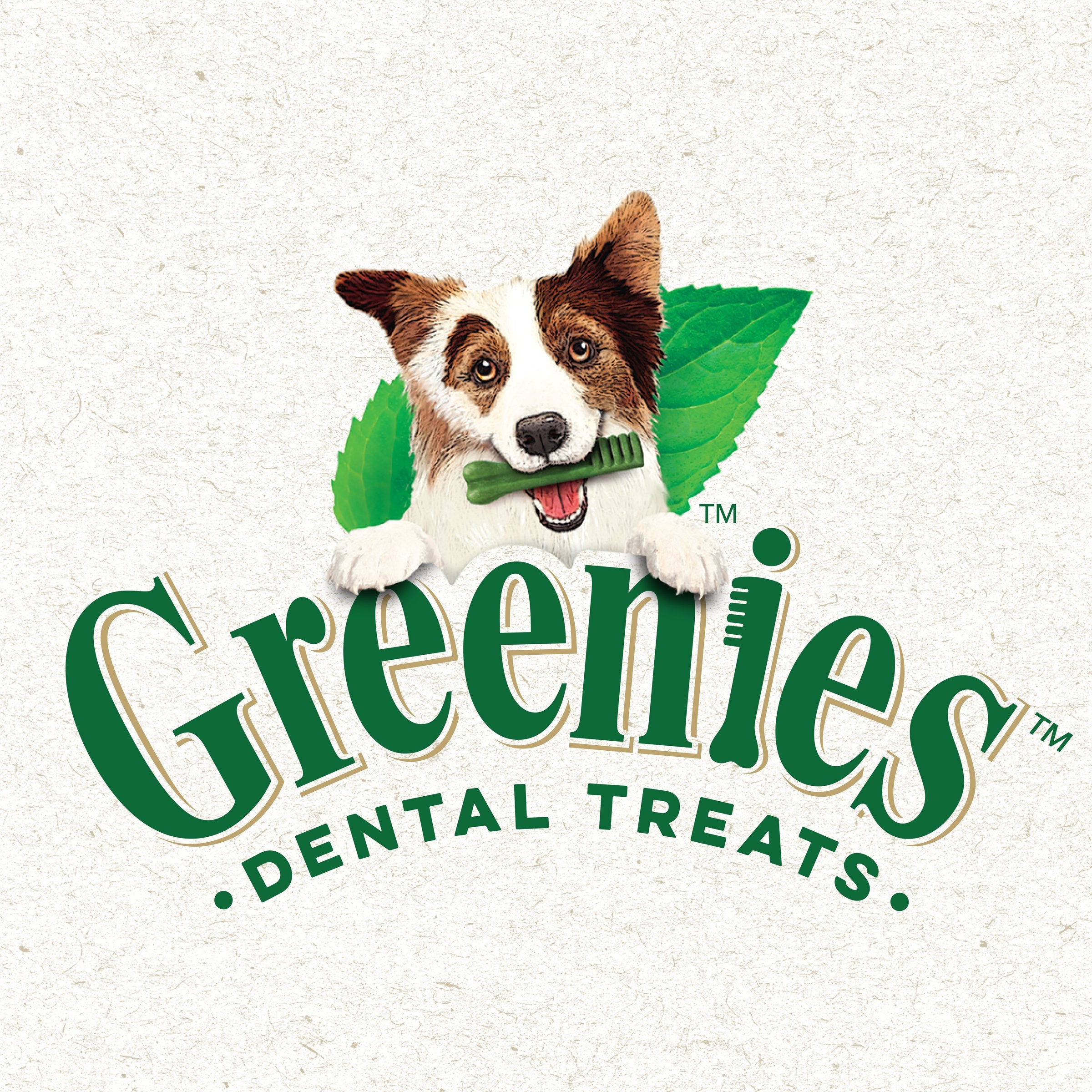Original Regular Puppy Dental Dog Treats