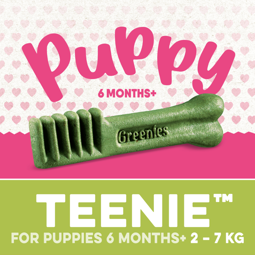 Original Teenie Puppy Dental Dog Treats