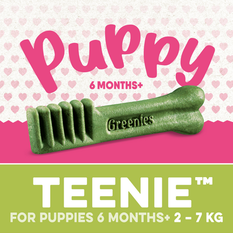 Original Teenie Puppy Dental Dog Treats