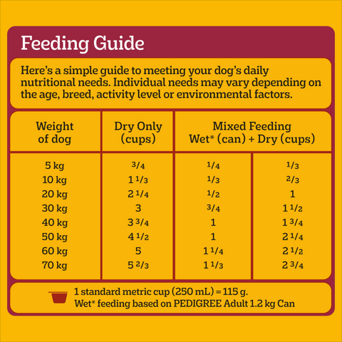 Adult Dry Dog Food Real Beef And Vegies