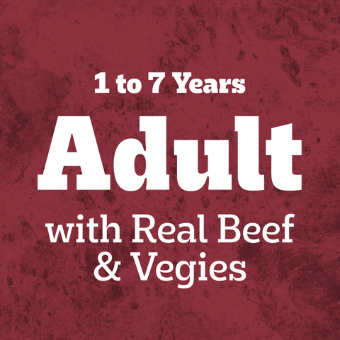 Adult Dry Dog Food Real Beef And Vegies
