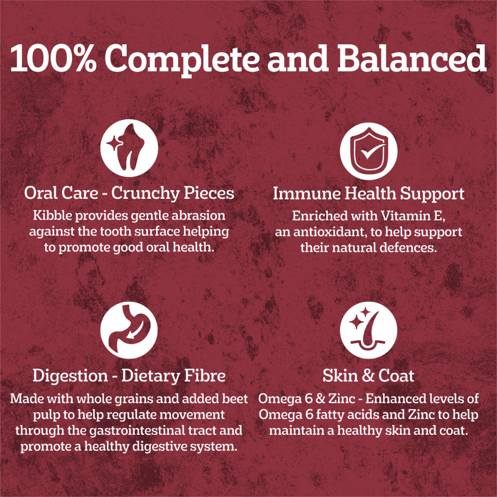 Adult Dry Dog Food Real Beef And Vegies