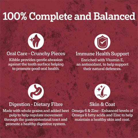 Adult Dry Dog Food Real Beef And Vegies