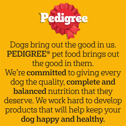 Adult Dry Dog Food Real Beef And Vegies