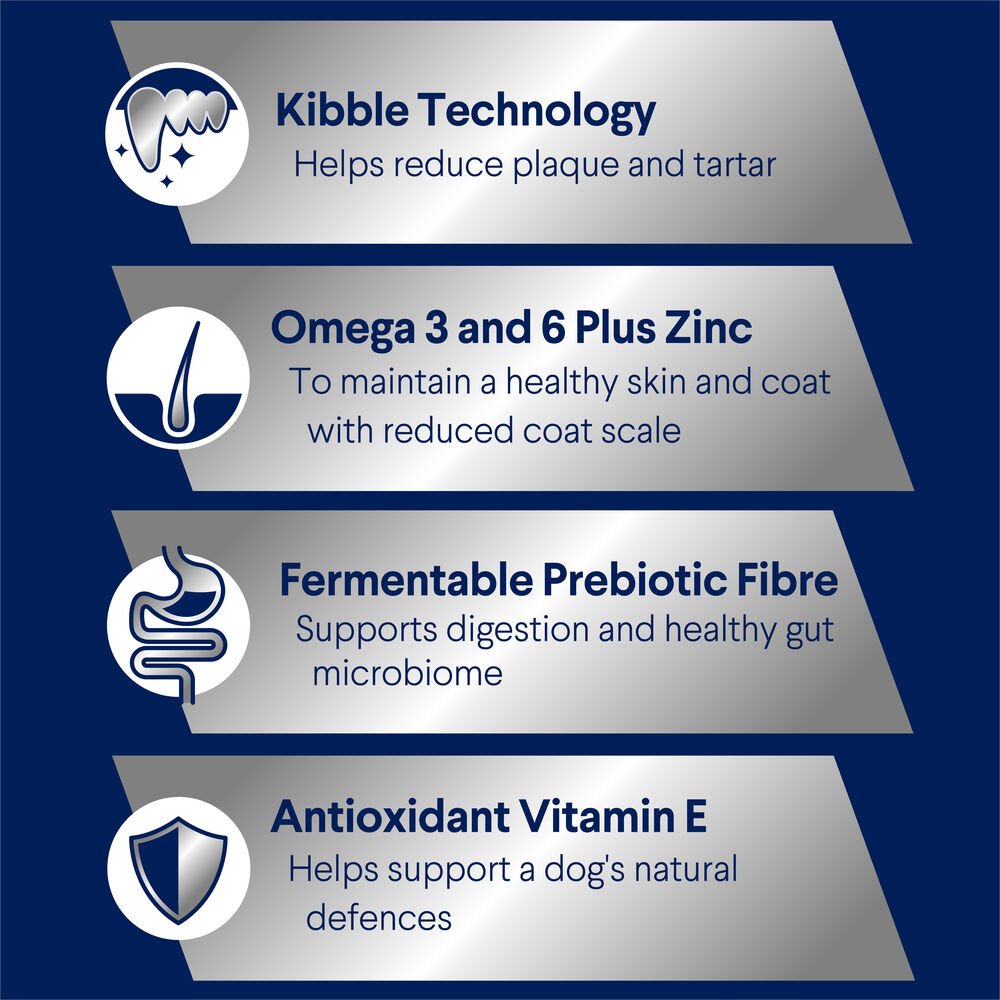 Medium Adult Dry Dog Food Turkey With Rice