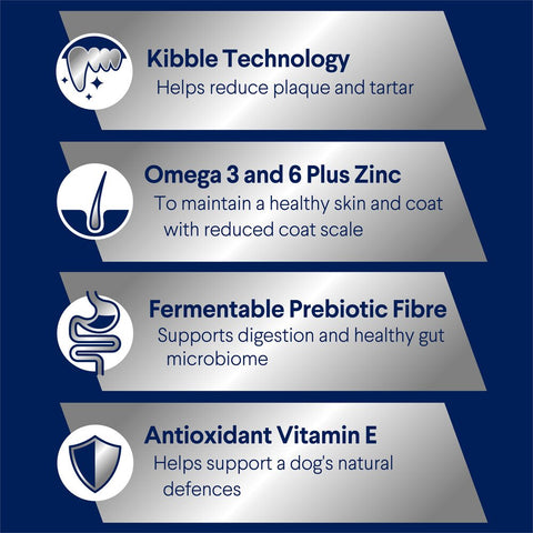 Medium Adult Dry Dog Food Turkey With Rice