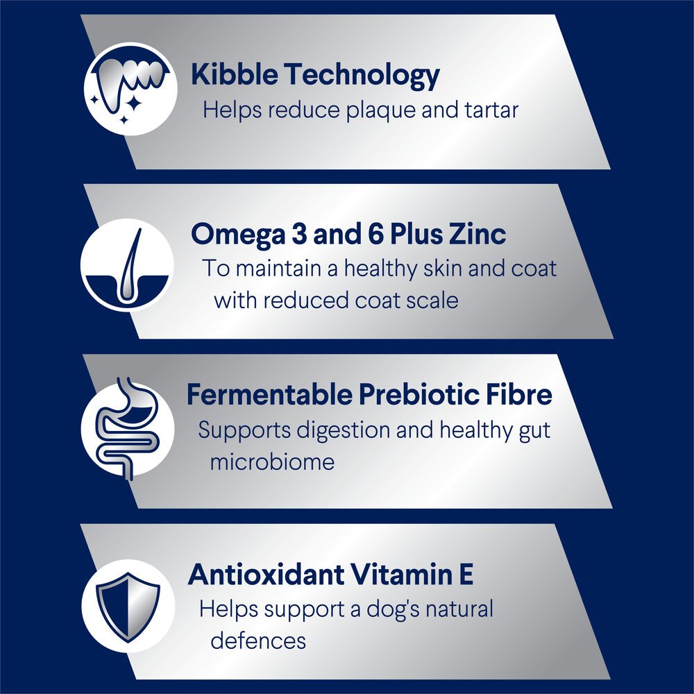 Medium Adult Dry Dog Food Chicken With Rice