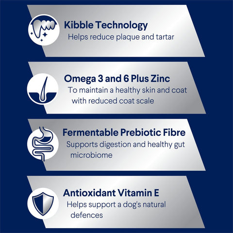 Medium Adult Dry Dog Food Chicken With Rice