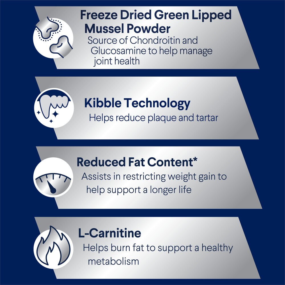 Healthy Weight Medium Adult Dry Dog Food Chicken With Rice