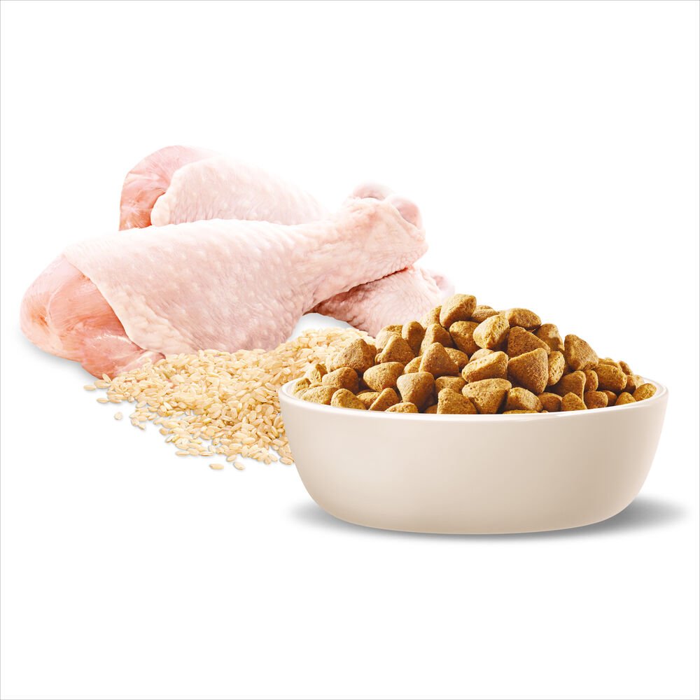 Healthy Weight Medium Adult Dry Dog Food Chicken With Rice
