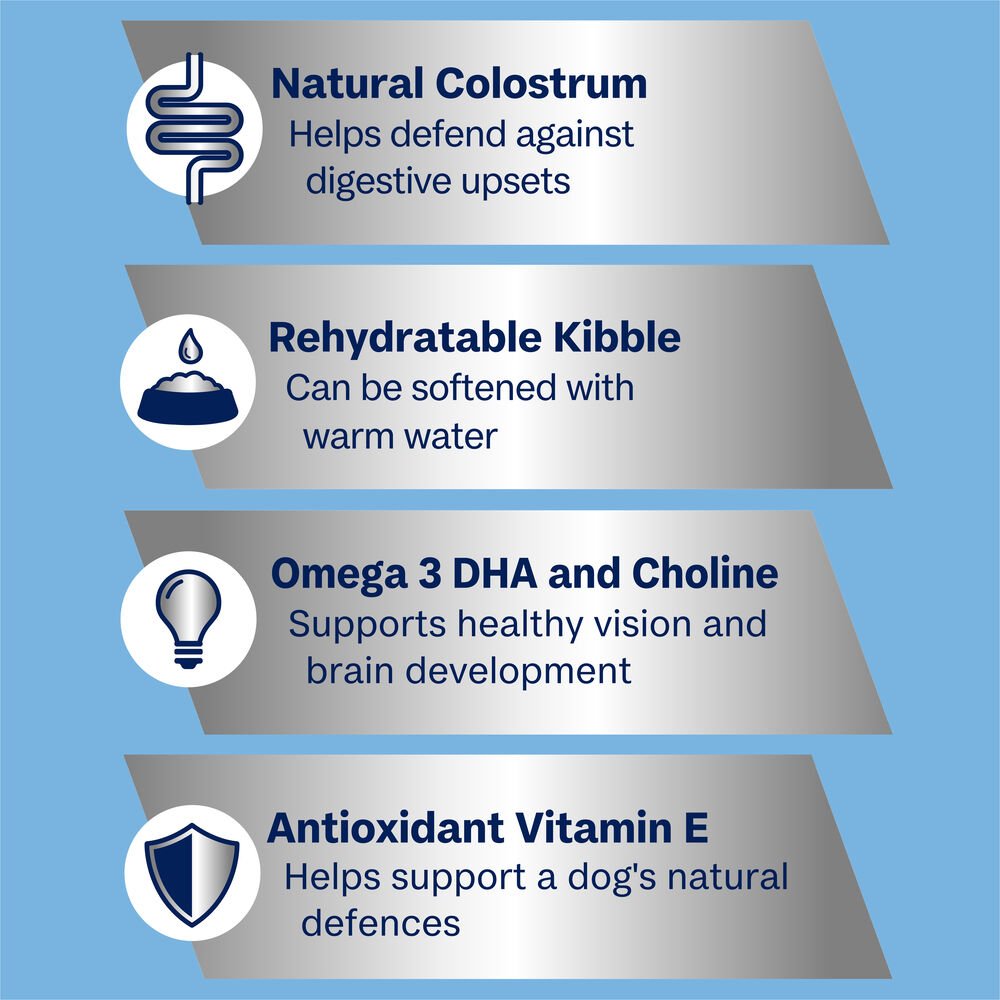 Puppy Small Rehydratable Dry Dog Food Chicken With Rice