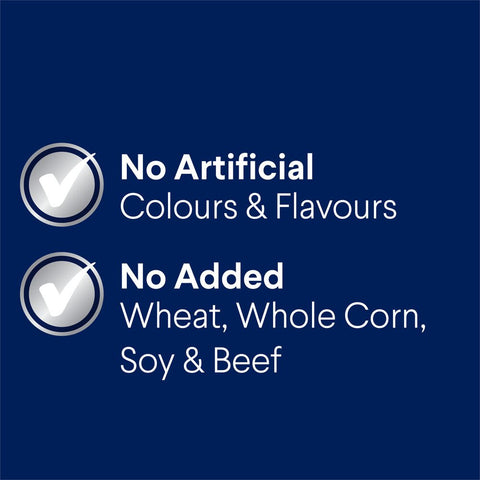 Large Adult Dry Dog Food Chicken With Rice