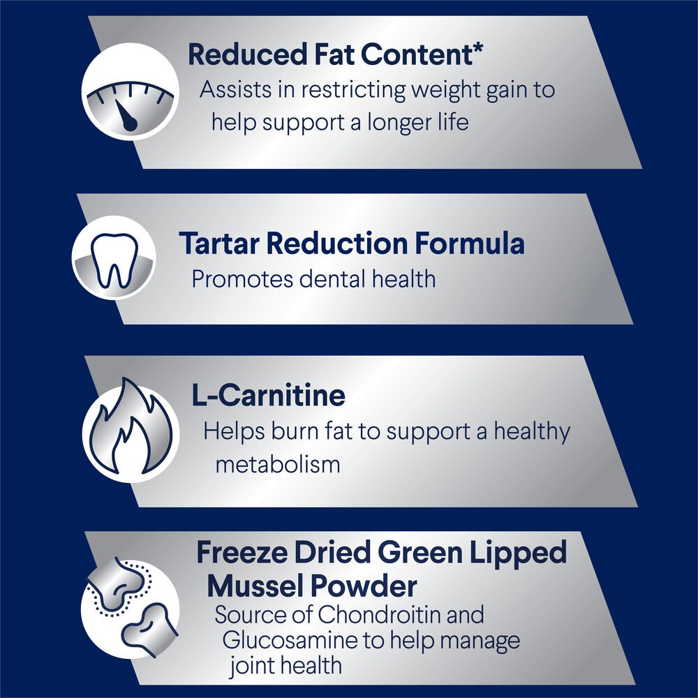 Healthy Weight Small Adult Dry Dog Food Chicken With Rice