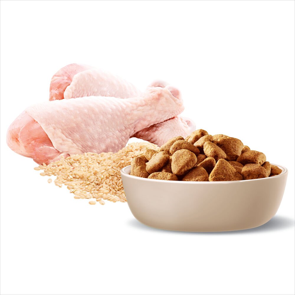 Healthy Weight Large Adult Dry Dog Food Chicken With Rice