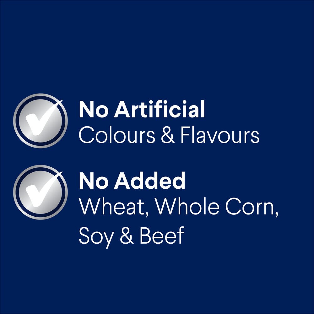 Healthy Weight Large Adult Dry Dog Food Chicken With Rice