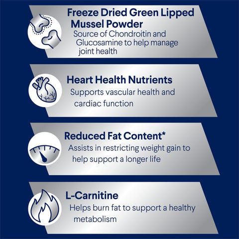 Healthy Weight Large Adult Dry Dog Food Chicken With Rice