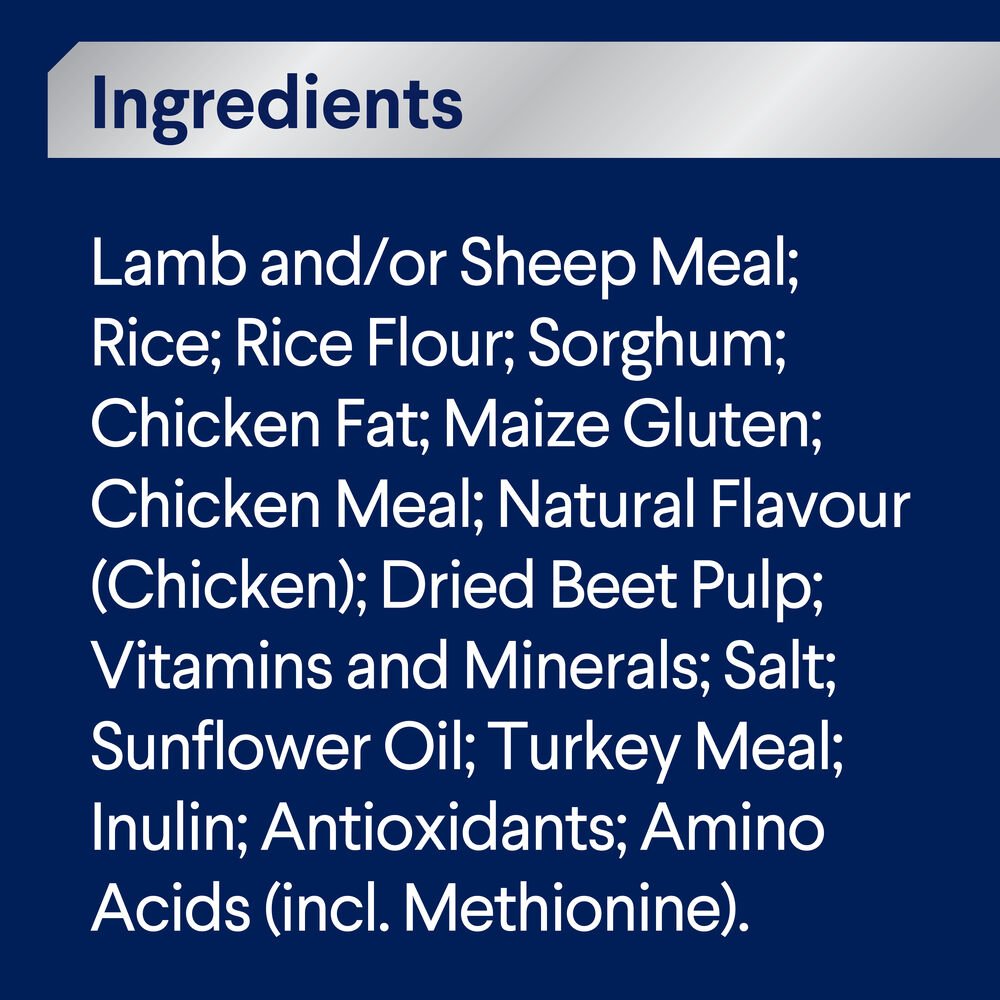 Medium Adult Dry Dog Food Lamb With Rice