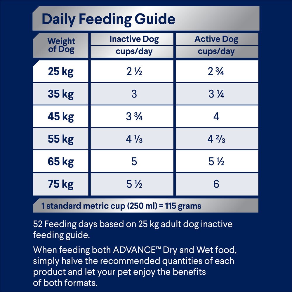 Large Adult Dry Dog Food Turkey With Rice