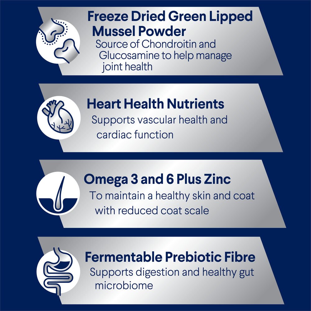 Large Adult Dry Dog Food Turkey With Rice