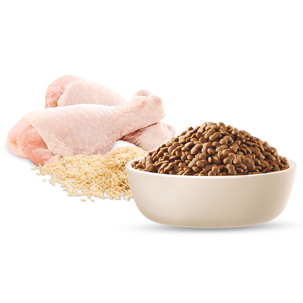 Healthy Ageing Small Adult Dry Dog Food Chicken With Rice