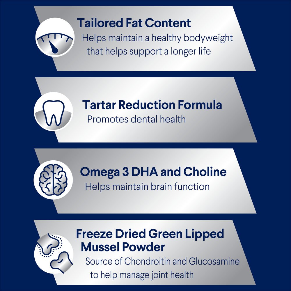 Healthy Ageing Small Adult Dry Dog Food Chicken With Rice