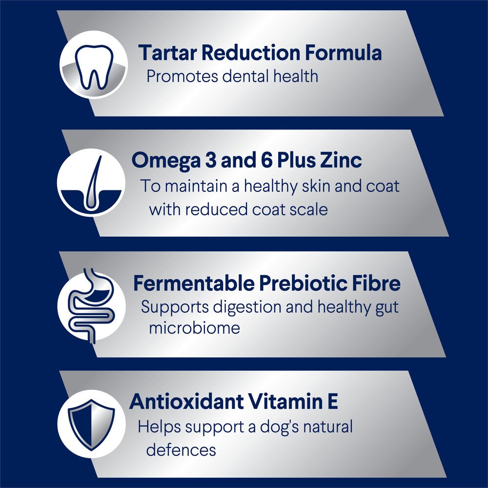 Small Adult Dry Dog Food Turkey With Rice