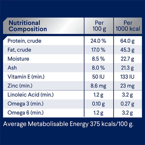 Triple Action Dental Care Medium Adult Dry Dog Food Chicken With Rice