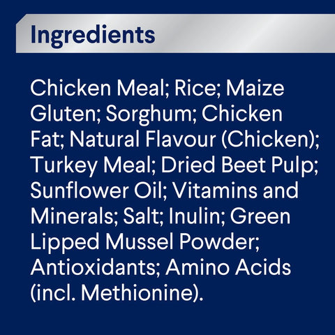 Active Adult Dry Dog Food Chicken With Rice