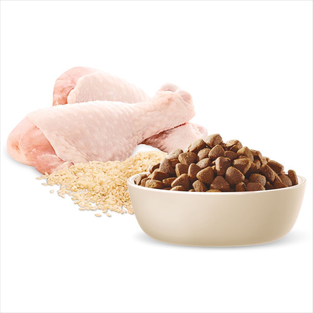 Active Adult Dry Dog Food Chicken With Rice
