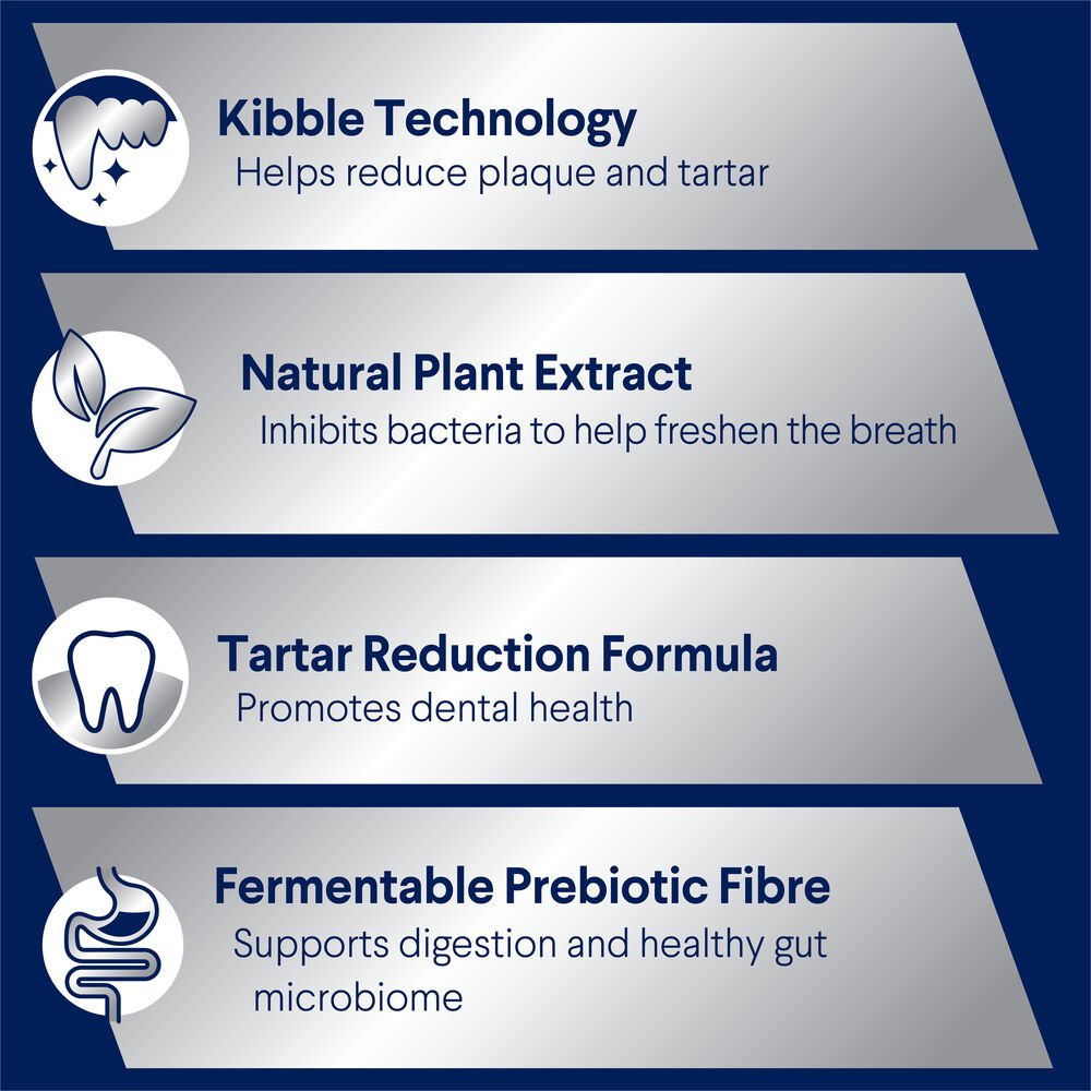 Triple Action Dental Care Large Adult Dry Dog Food Chicken With Rice