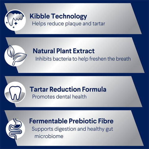 Triple Action Dental Care Large Adult Dry Dog Food Chicken With Rice