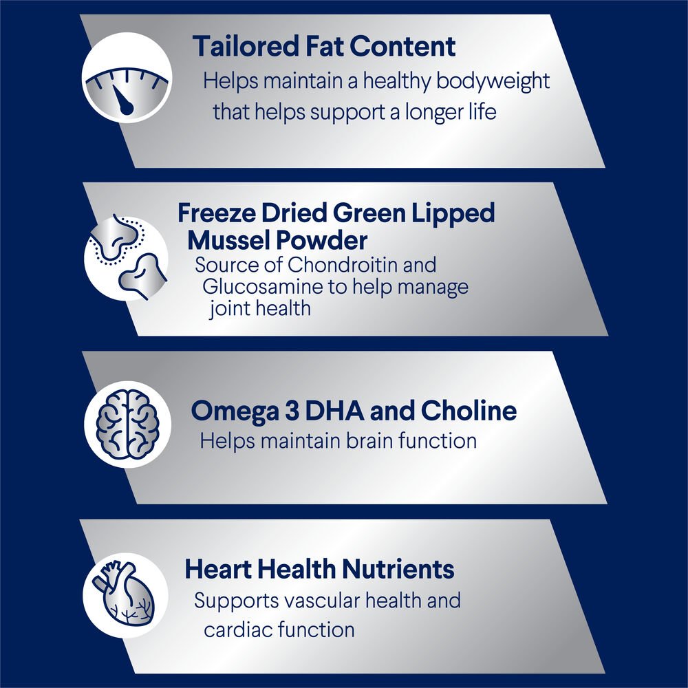 Healthy Ageing Large Adult Dry Dog Food Chicken With Rice