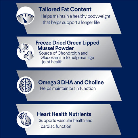 Healthy Ageing Large Adult Dry Dog Food Chicken With Rice