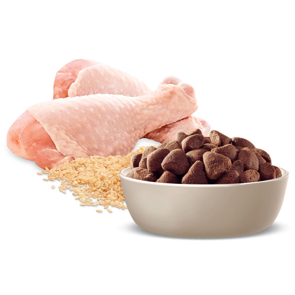 Healthy Ageing Large Adult Dry Dog Food Chicken With Rice