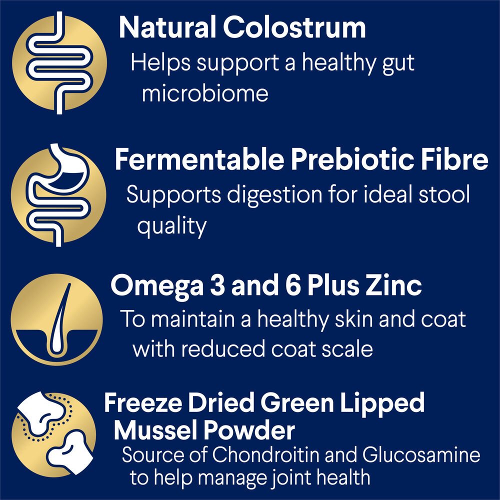 Shepherds Adult Dry Dog Food Turkey With Rice